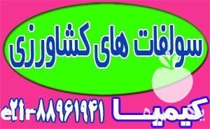 فروش سولفات آمونیوم گرانوله سولفامون در تهران در گروه خرید فروش کود و مواد شیمیایی - اوره پتاس مرغی کمپوست آهن در یکمیوه -عکس1