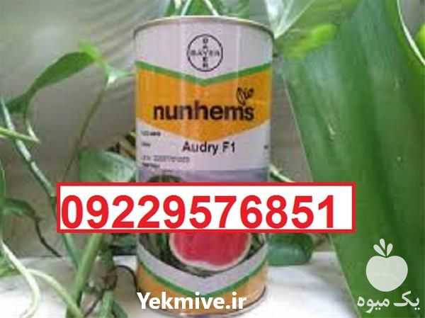 فروش بذر هندوانه مونتانا  در قزوین در گروه خرید فروش بذر - انواع محصول کشاورزی گوجه کتان میوه درخت در یکمیوه -عکس1