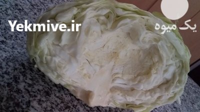 فروش 100 تن کلم سفید پیچ در ازنا در گروه خرید فروش عمده انواع کلم برگ و پیچ و بروکلی در یکمیوه -عکس1