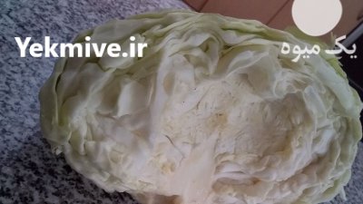 فروش 100 تن کلم سفید پیچ در ازنا در گروه خرید فروش عمده انواع کلم برگ و پیچ و بروکلی در یکمیوه -عکس2