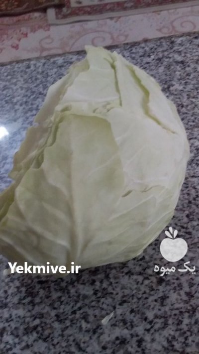 فروش 100 تن کلم سفید پیچ در ازنا در گروه خرید فروش عمده انواع کلم برگ و پیچ و بروکلی در یکمیوه -عکس3