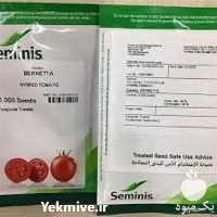 فروش بذر گوجه فرنگی برنتا در زنجان در گروه خرید فروش بذر - انواع محصول کشاورزی گوجه کتان میوه درخت در یکمیوه