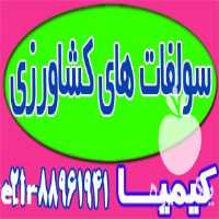 فروش سولفات آمونیوم گرانوله سولفامون در تهران در گروه خرید فروش کود و مواد شیمیایی - اوره پتاس مرغی کمپوست آهن در یکمیوه