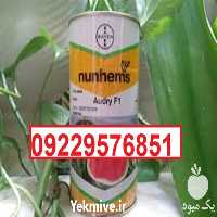 فروش بذر هندوانه مونتانا  در قزوین در گروه خرید فروش بذر - انواع محصول کشاورزی گوجه کتان میوه درخت در یکمیوه