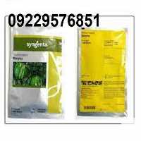 بذر هندوانه باراکا اصل در خراسان شمالی در گروه خرید فروش عمده هندوانه - صادراتی گرد بیضی زرد قرمز در یکمیوه