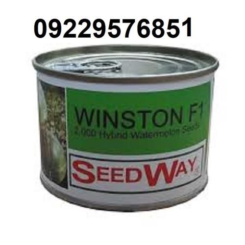 بذر هندوانه وینستون در تهران در گروه خرید فروش عمده هندوانه - صادراتی گرد بیضی زرد قرمز در یکمیوه -عکس1