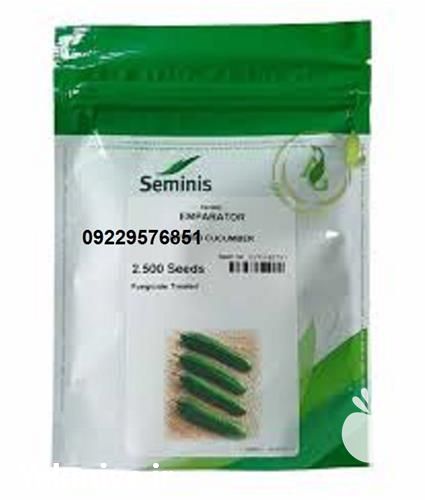 فروش بذر خیار بوته ای هیبرید در تهران در گروه خرید فروش بذر - انواع محصول کشاورزی گوجه کتان میوه درخت در یکمیوه -عکس1