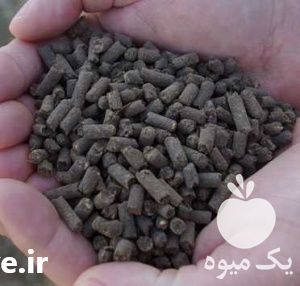 فروش کود مرغی فرآوری شده در تهران در گروه خرید فروش کود و مواد شیمیایی - اوره پتاس مرغی کمپوست آهن در یکمیوه -عکس1