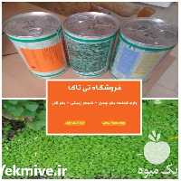 فروش بذر شبدر دایکوندرا در تهران در گروه خرید فروش بذر - انواع محصول کشاورزی گوجه کتان میوه درخت در یکمیوه