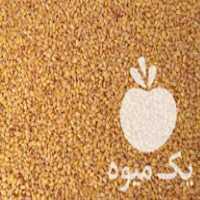 فروش گندم پیشگام بوجار شده در بجنورد در گروه خرید فروش عمده گندم و جو - بلغور شیرازی فروش عمده محصول کشاورزی در یکمیوه