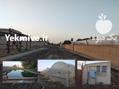 فروش گلخانه صنعتی در ورامین در گروه اجاره فروش گلخانه - هیدروپونیک سازه صنعتی شیشه خیار زعفران در یکمیوه -عکس1