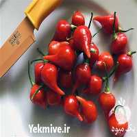 فروش بذر فلفل بیکیونهو در تهران در گروه خرید فروش بذر - انواع محصول کشاورزی گوجه کتان میوه درخت در یکمیوه