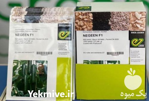 فروش انواع بذر گلخانه ای در تهران در گروه خرید فروش بذر - انواع محصول کشاورزی گوجه کتان میوه درخت در یکمیوه -عکس1