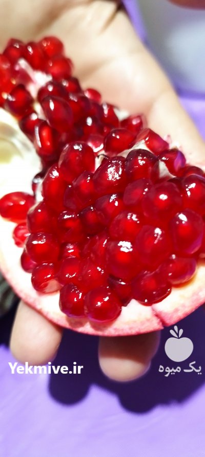 فروش انار رباب صادراتی در آباده طشک در گروه خرید فروش عمده انار - ساوه شیراز شیرین ترش در یکمیوه
