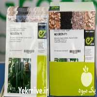 فروش انواع بذر گلخانه ای در تهران در گروه خرید فروش بذر - انواع محصول کشاورزی گوجه کتان میوه درخت در یکمیوه