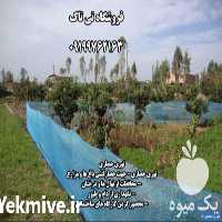 فروش توری شید در تهران در گروه خرید فروش انواع پوشش ها و ورق ها - پلی استر پلی کربنات نایلون در یکمیوه