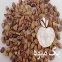 خرید پسته و مغز در کاشمر در گروه آجیل - فروش عمده محصولات در یکمیوه