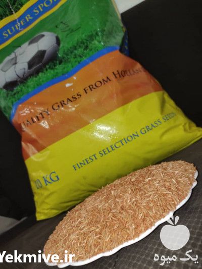فروش بذر چمن و گل های آپارتمانی در تهران در گروه خرید فروش بذر - انواع محصول کشاورزی گوجه کتان میوه درخت در یکمیوه -عکس1