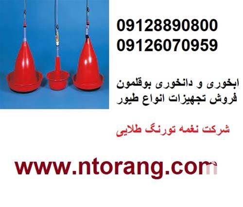 قیمت فروش دانخوری بوقلمون در تهران در گروه تجهیزات دام و طیور - خرید فروش نو دسته دوم در یکمیوه -عکس1