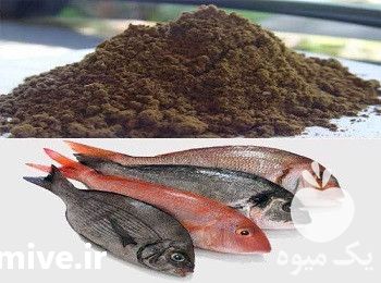 فروش پودر ماهی در تهران در گروه خوراک دام و طیور - پرواری شیری علوفه یونجه در یکمیوه -عکس1