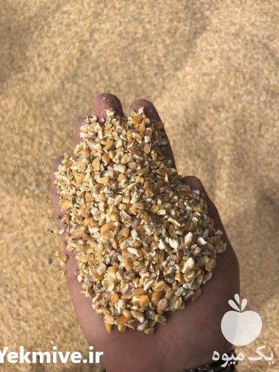 فروش خرده ذرت در تهران در گروه مرغ و خروس و بوقلمون و اردک قو قاز در یکمیوه -عکس1