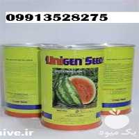 یذر هندوانه یونی ژن قیمت مناسب در تهران در گروه خرید فروش بذر - انواع محصول کشاورزی گوجه کتان میوه درخت در یکمیوه