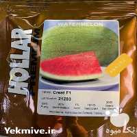 فروش بهترین بذر هندوانه هولار سفید در هرمز در گروه خرید فروش بذر - انواع محصول کشاورزی گوجه کتان میوه درخت در یکمیوه