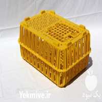 فروش قفس مرغ زنده در قزوین در گروه تجهیزات دام و طیور - خرید فروش نو دسته دوم در یکمیوه