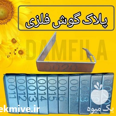 فروش پلاک گوش فلزی دامی در تهران در گروه گاو و گوسفند و میش و بز کهره گوساله سمینتال در یکمیوه -عکس1