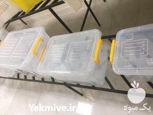 فروش انواع جعبه پلاستیکی  در تهران در گروه خرید فروش انواع سبد - میوه پلاستیکی چوبی گل در یکمیوه -عکس1