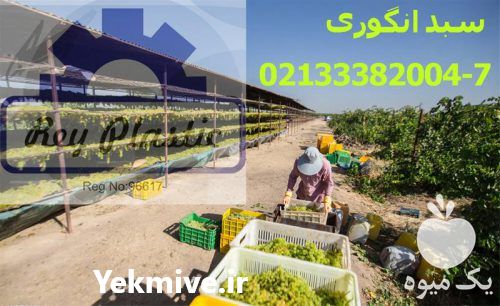 تولید و فروش سبد بسته بندی در تهران در گروه خرید فروش انواع سبد - میوه پلاستیکی چوبی گل در یکمیوه -عکس1