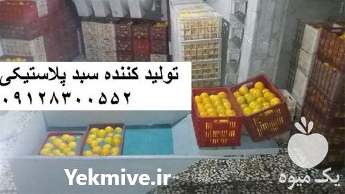 فروش سبد میوه در ساری در گروه خرید فروش انواع سبد - میوه پلاستیکی چوبی گل در یکمیوه -عکس1