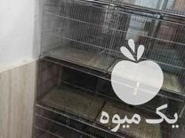 فروش قفس جوجه پران در چمستان در گروه تجهیزات دام و طیور - خرید فروش نو دسته دوم در یکمیوه -عکس1