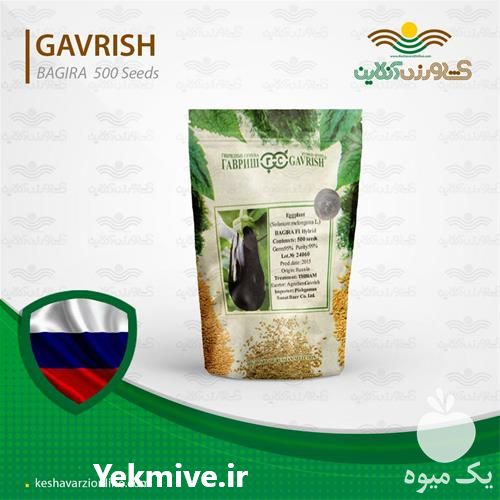 فروش بذر بادمجان گلخانه ای  در تهران در گروه خرید فروش بذر - انواع محصول کشاورزی گوجه کتان میوه درخت در یکمیوه -عکس1