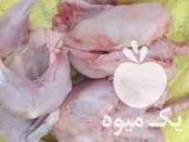 فروش تلفات مرغ غذای سگ و گربه  در بهشهر در گروه سگ و گربه _ نگهبان هاسکی ژرمن دوبرمن سرابی در یکمیوه -عکس1
