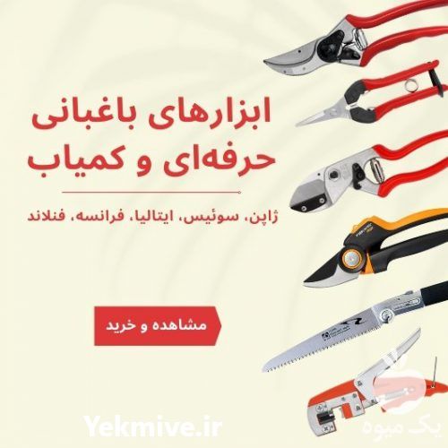 فروش عمده قیچی باغبانی در تهران در گروه خرید فروش لوازم باغبانی - خرید فروش نو دست دوم در یکمیوه -عکس1