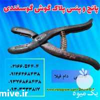 فروش پانچ پلاک گوش گوسفندی در تهران در گروه تجهیزات دام و طیور - خرید فروش نو دسته دوم در یکمیوه