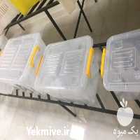 فروش انواع جعبه پلاستیکی  در تهران در گروه خرید فروش انواع سبد - میوه پلاستیکی چوبی گل در یکمیوه