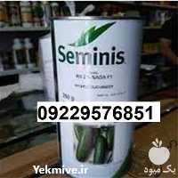 تولید بذر خیار رویال اصل در کرمان  در گروه خرید فروش بذر - انواع محصول کشاورزی گوجه کتان میوه درخت در یکمیوه