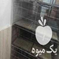 فروش قفس جوجه پران در چمستان در گروه تجهیزات دام و طیور - خرید فروش نو دسته دوم در یکمیوه