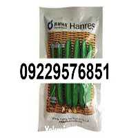 بذر خیار ویکتوریا  در بوشهر در گروه خرید فروش عمده خیار - بوته درختی سبز مجلسی شوری خاردار چنبر اصفهان در یکمیوه