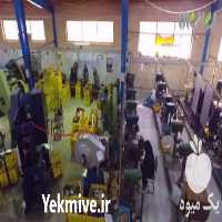 فروش سبد حمل چرم استان تهران در گروه خرید فروش انواع سبد - میوه پلاستیکی چوبی گل در یکمیوه