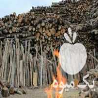 خرید و فروش هیزم ساده و ذغال کوره ای در تهران در گروه خرید فروش عمده چوب- زغال چوب گردو تبریزی خام در یکمیوه