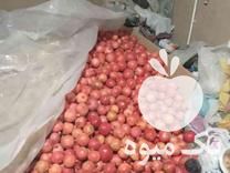 فروش توزیع و پخش تره بار رستورانی در قم در گروه توزیع کننده محصولات کشاورزی و دامپروری و فرآورده ها در یکمیوه -عکس1