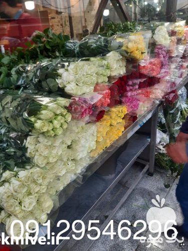 فروش عمده گل شاخه بریده در تهران در گروه زنبورعسل - زنبورداری نوین صنعتی مدرن کندو در یکمیوه -عکس1