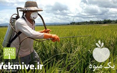 فروش سم علفکش قارچ کش در تهران در گروه خرید فروش کود و مواد شیمیایی - اوره پتاس مرغی کمپوست آهن در یکمیوه -عکس1