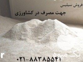 فروش سیلیس کشاورزی در تهران در گروه خرید فروش کود و مواد شیمیایی - اوره پتاس مرغی کمپوست آهن در یکمیوه -عکس1