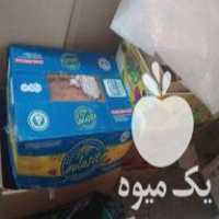 فروش کارتن خالی موز در تهران در گروه خرید فروش انواع بسته بندی کاغذی - کارتن مقوا در یکمیوه