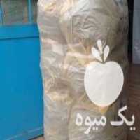 فروش زغال کبابی درجه یک در رشت در گروه خرید فروش عمده چوب- زغال چوب گردو تبریزی خام در یکمیوه
