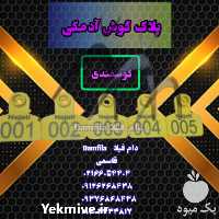 فروش پلاک گوش آدمکی گوسفندی در تهران در گروه تجهیزات دام و طیور - خرید فروش نو دسته دوم در یکمیوه